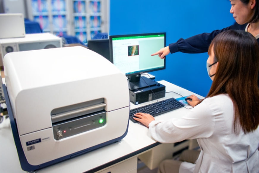 蛍光X線分析装置