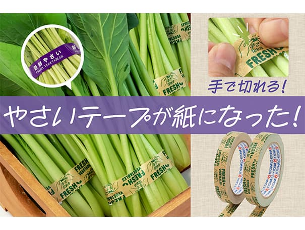 eco野菜テープ紙01