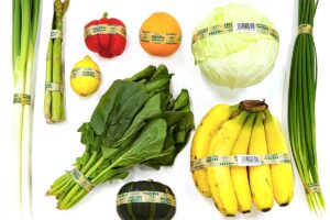 野菜結束テープ